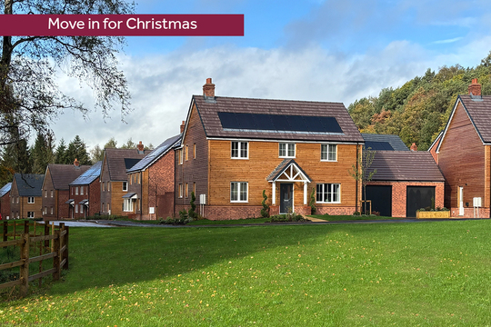 LH-VSWM-PG-MOVE IN FOR CHRISTMAS