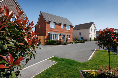 VDSW CH IGROVE STREETSCENE (14)