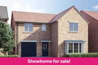 Home 157