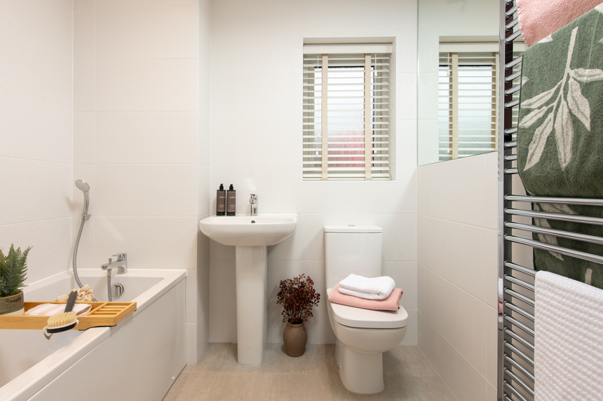 047 VistryNE_Linden_WhitworthChase_Lupin