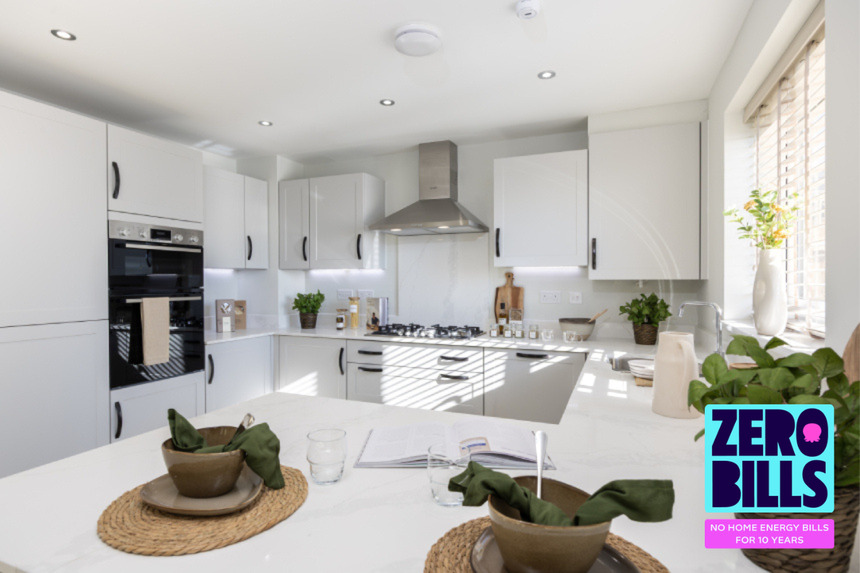 The Juniper Zero Bills (3)