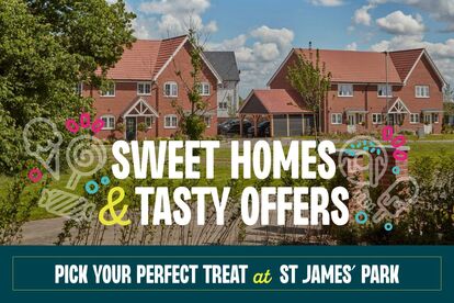 58938_Countryside_St James' Park_Sweet_Homes_Web Banner_AE_v1_