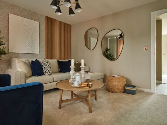 NMACC_BOVIS_HAZEL_001