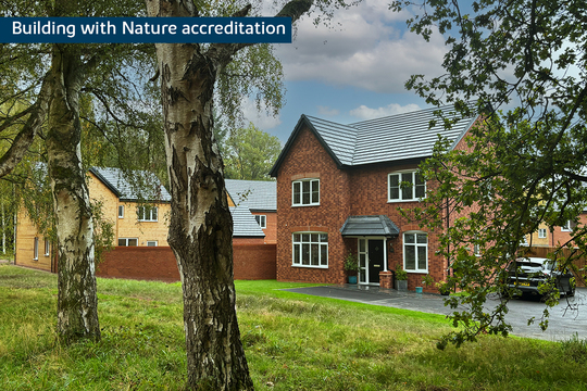 BH-VSWM-TC-BUILDING WITH NATURE