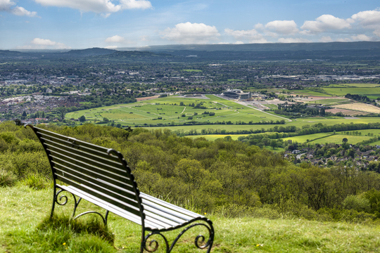 cheltenham_42