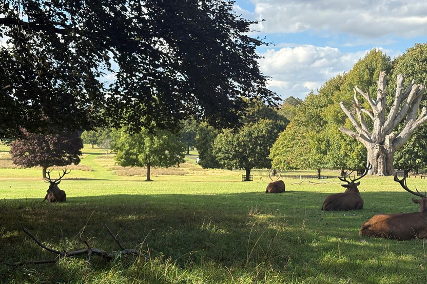 [LH] Linby Meadows- Wollaton Park