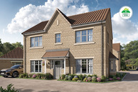 Home 11