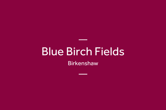 Blue Birch Fields Linden Coming Soon Image