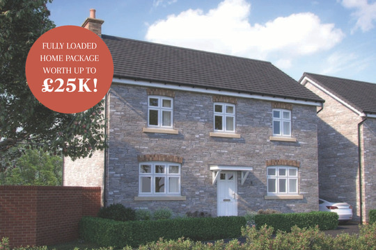 725/730 The Chestnut Mock Up