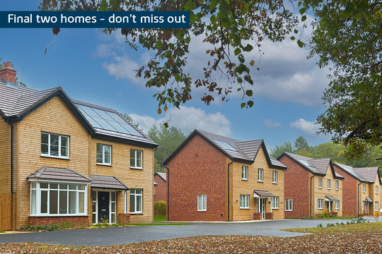 BH-VSWM-TC-FINAL TWO HOMES