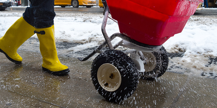 person salting sidewalks