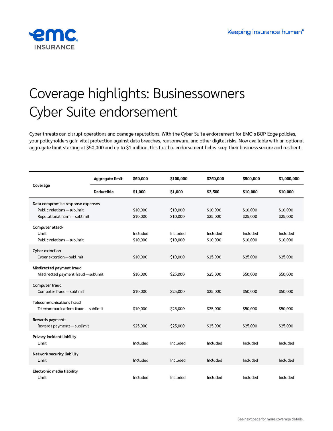 Small business cyber