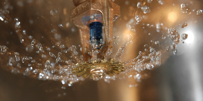 Sprinkler spraying water