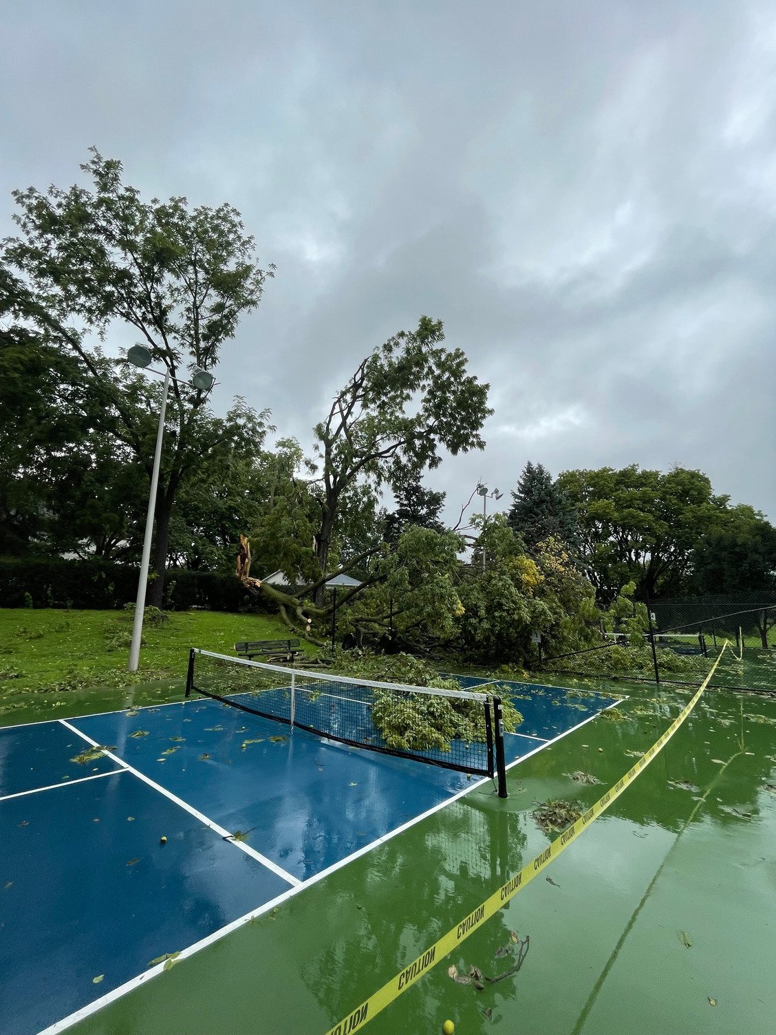 a tree lays on the pickleball court at Underwood Park