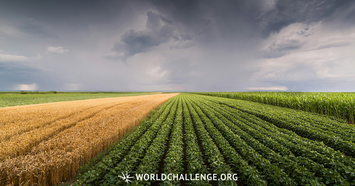 The Final Harvest Worldchallenge Org