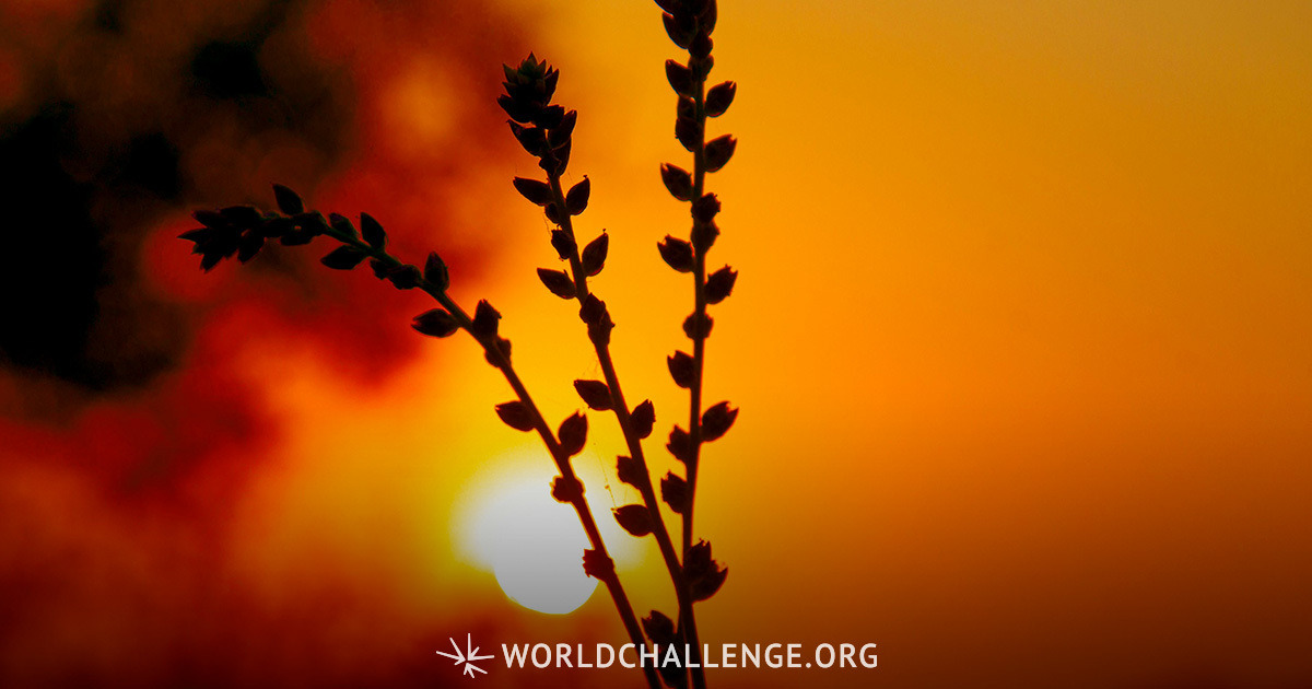 a-peculiar-people-worldchallenge